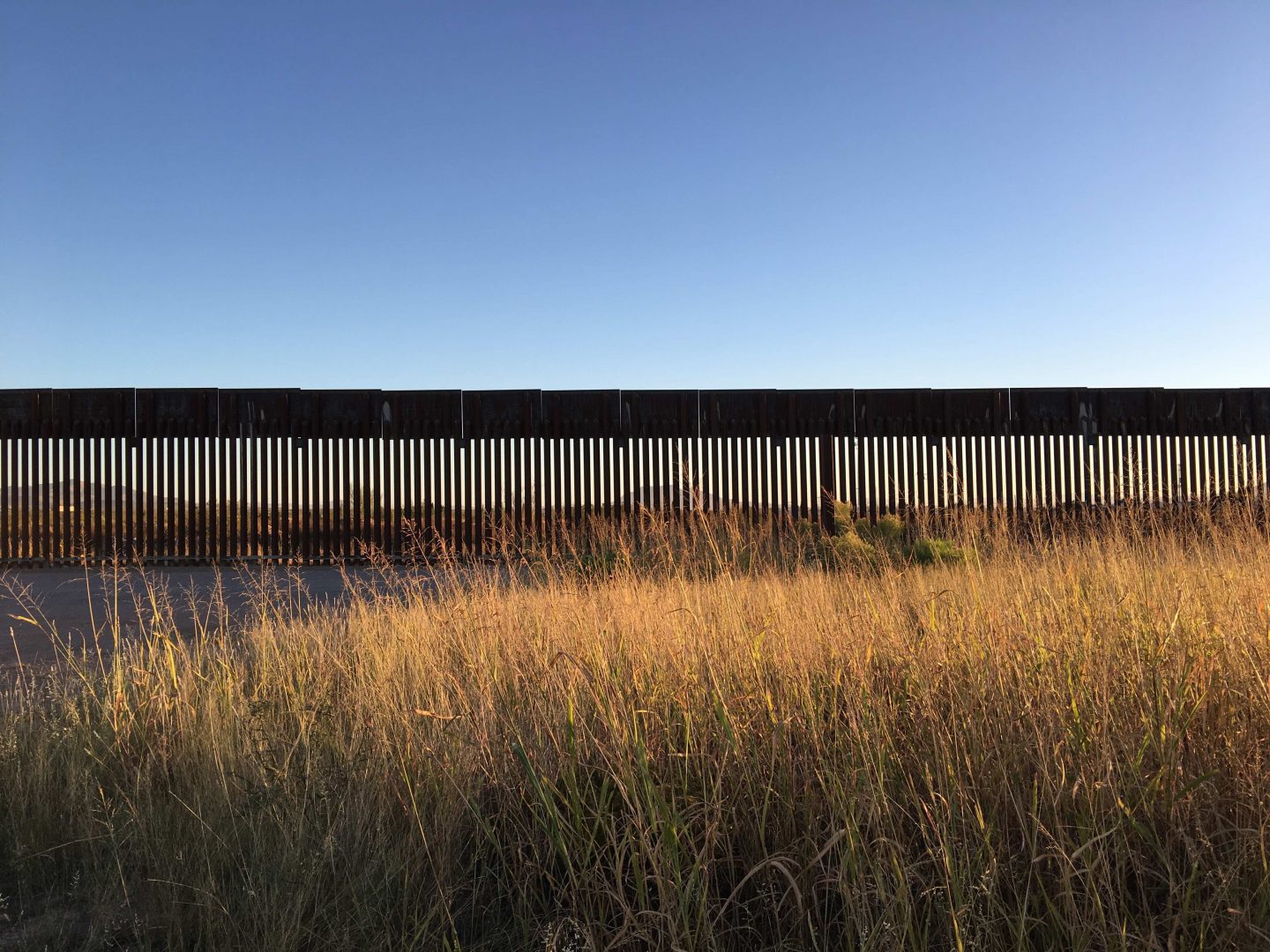 Border Wall Impacts on Wildlife, Wilderness, and Communities A View